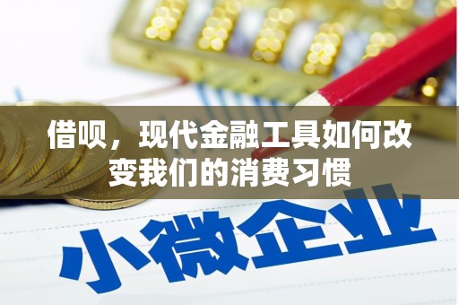 泰顺借呗，现代金融工具如何改变我们的消费习惯