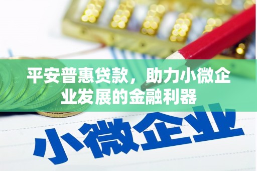 泰顺平安普惠贷款，助力小微企业发展的金融利器