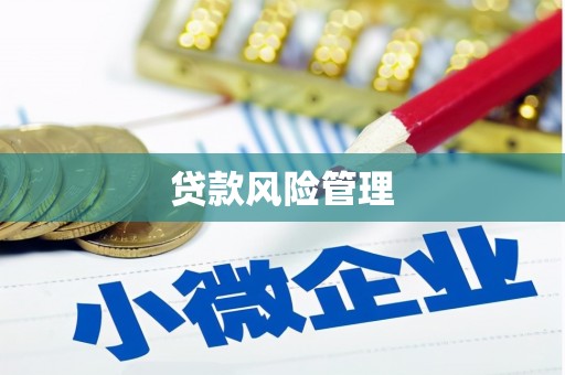 泰顺贷款风险管理