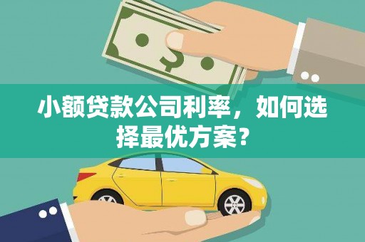 泰顺小额贷款公司利率，如何选择最优方案？