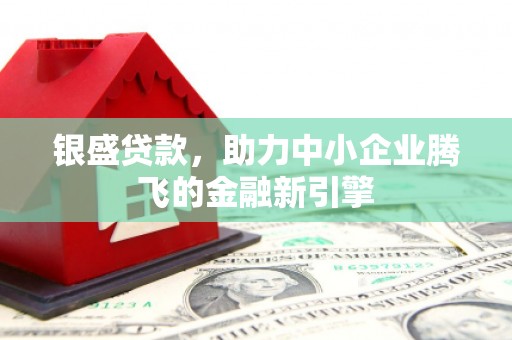 泰顺银盛贷款，助力中小企业腾飞的金融新引擎