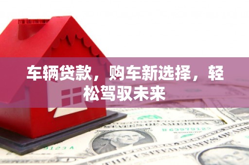 泰顺车辆贷款，购车新选择，轻松驾驭未来