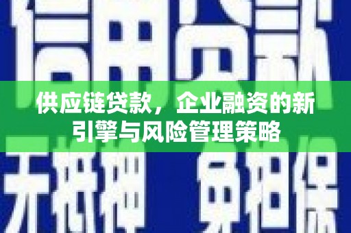 泰顺供应链贷款，企业融资的新引擎与风险管理策略