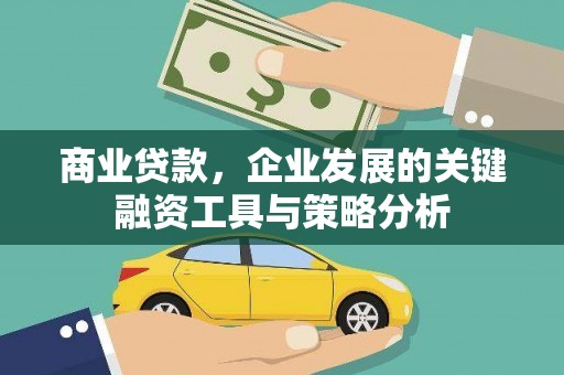 泰顺商业贷款，企业发展的关键融资工具与策略分析