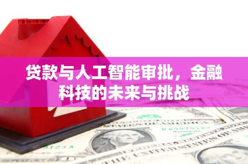 泰顺贷款与人工智能审批，金融科技的未来与挑战