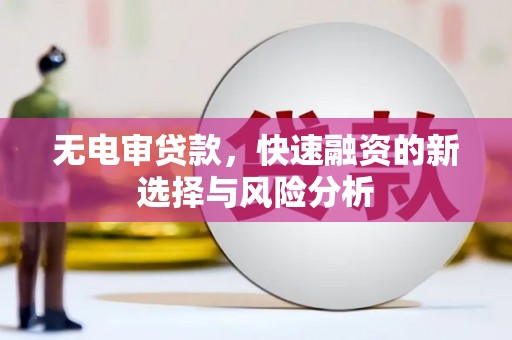 泰顺无电审贷款，快速融资的新选择与风险分析