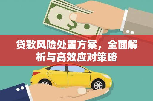 泰顺贷款风险处置方案，全面解析与高效应对策略
