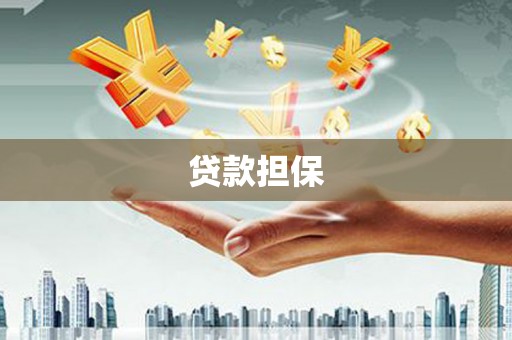 泰顺贷款担保