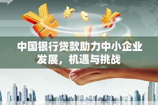 泰顺中国银行贷款助力中小企业发展，机遇与挑战