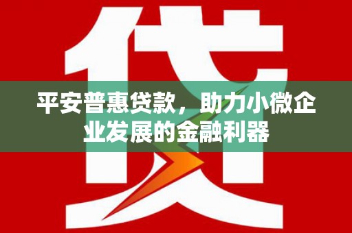 泰顺平安普惠贷款，助力小微企业发展的金融利器
