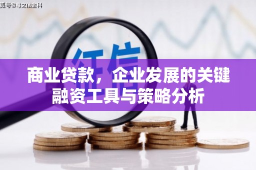 泰顺商业贷款，企业发展的关键融资工具与策略分析