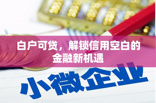 泰顺白户可贷，解锁信用空白的金融新机遇