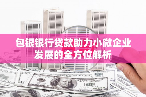 泰顺包银银行贷款助力小微企业发展的全方位解析