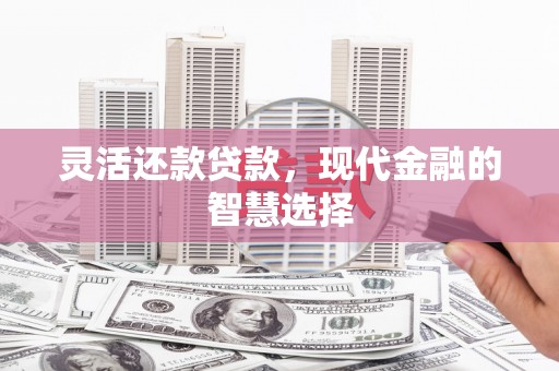 泰顺灵活还款贷款，现代金融的智慧选择