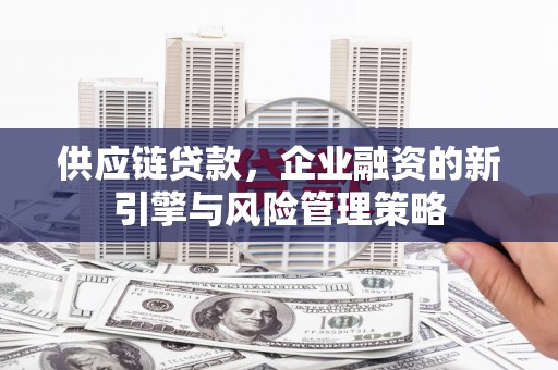 泰顺供应链贷款，企业融资的新引擎与风险管理策略