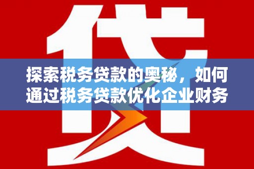 泰顺探索税务贷款的奥秘，如何通过税务贷款优化企业财务