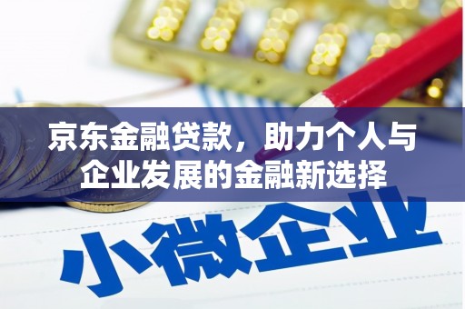 泰顺京东金融贷款，助力个人与企业发展的金融新选择
