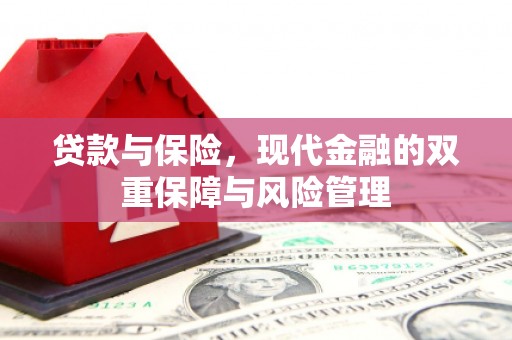 泰顺贷款与保险，现代金融的双重保障与风险管理