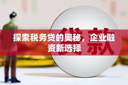 泰顺探索税务贷的奥秘，企业融资新选择