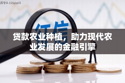 泰顺贷款农业种植，助力现代农业发展的金融引擎