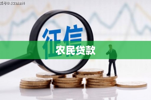 泰顺农民贷款