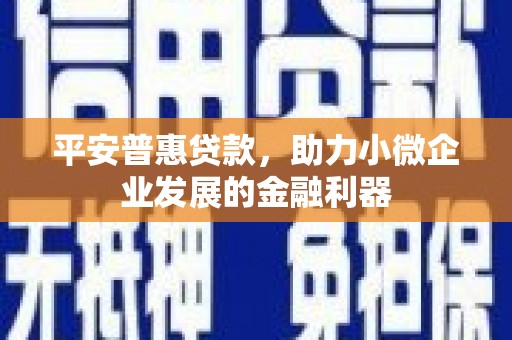 泰顺平安普惠贷款，助力小微企业发展的金融利器