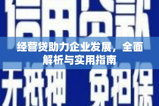 泰顺经营贷助力企业发展，全面解析与实用指南
