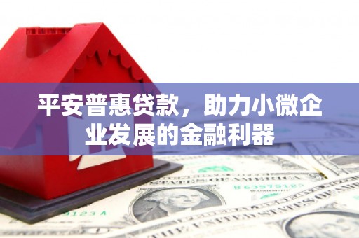 泰顺平安普惠贷款，助力小微企业发展的金融利器