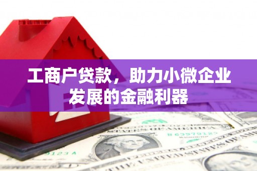 泰顺工商户贷款，助力小微企业发展的金融利器