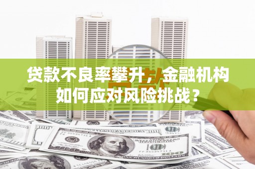 泰顺贷款不良率攀升，金融机构如何应对风险挑战？