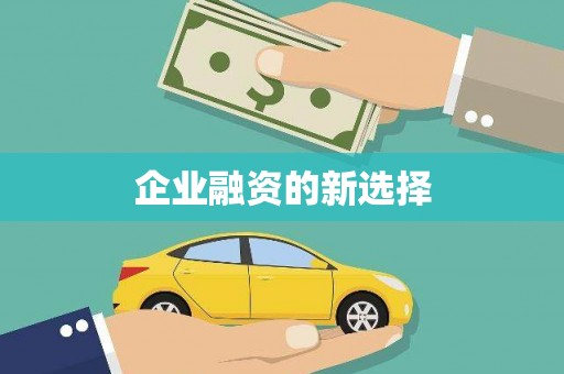 泰顺企业融资的新选择