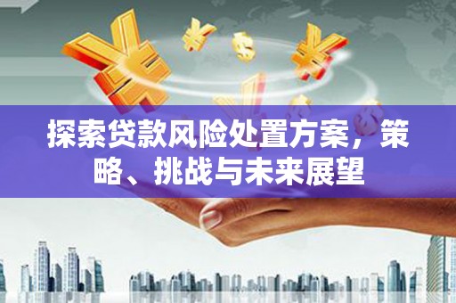 泰顺探索贷款风险处置方案，策略、挑战与未来展望