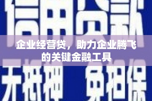泰顺企业经营贷，助力企业腾飞的关键金融工具