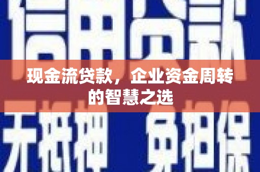 泰顺现金流贷款，企业资金周转的智慧之选
