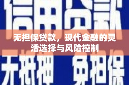 泰顺无担保贷款，现代金融的灵活选择与风险控制