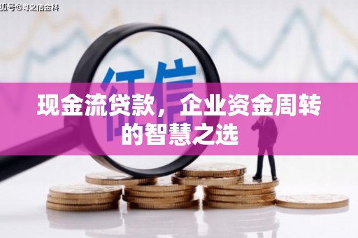 泰顺现金流贷款，企业资金周转的智慧之选