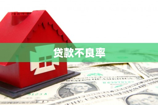 泰顺贷款不良率