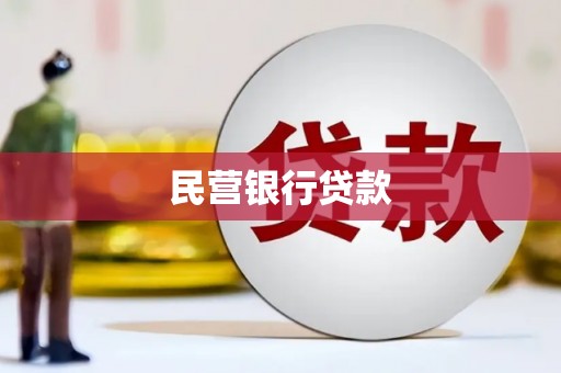 泰顺民营银行贷款