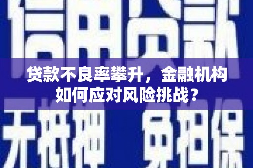 泰顺贷款不良率攀升，金融机构如何应对风险挑战？