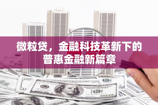泰顺微粒贷，金融科技革新下的普惠金融新篇章
