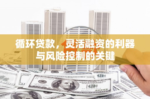 泰顺循环贷款，灵活融资的利器与风险控制的关键
