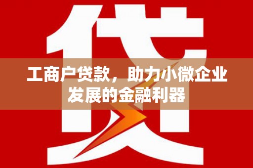 泰顺工商户贷款，助力小微企业发展的金融利器