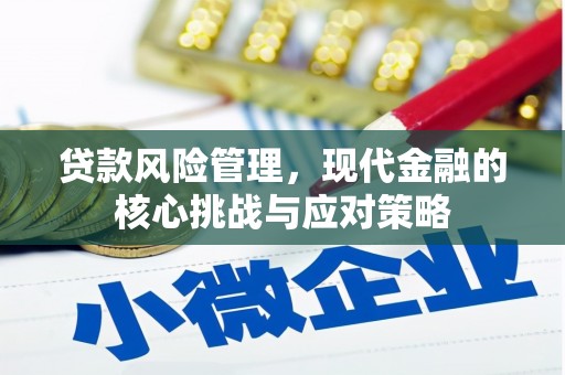 泰顺贷款风险管理，现代金融的核心挑战与应对策略