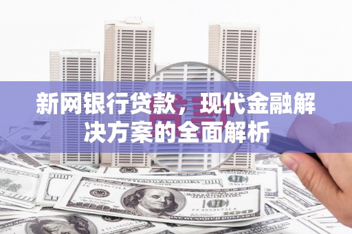 泰顺新网银行贷款，现代金融解决方案的全面解析