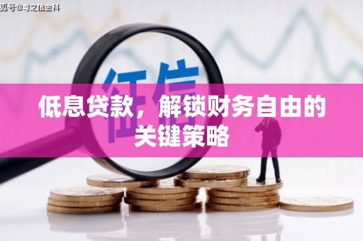 泰顺低息贷款，解锁财务自由的关键策略