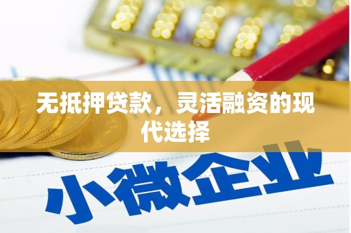 泰顺无抵押贷款，灵活融资的现代选择