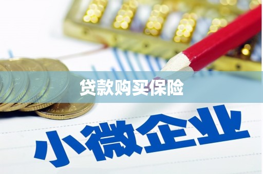 泰顺贷款购买保险