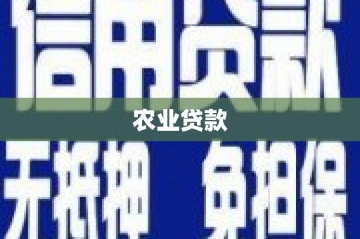 泰顺农业贷款