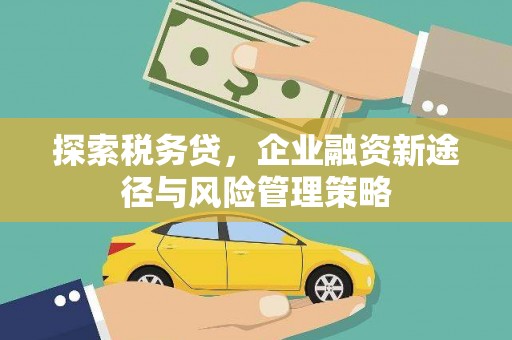 泰顺探索税务贷，企业融资新途径与风险管理策略