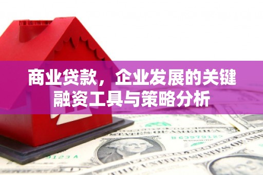 泰顺商业贷款，企业发展的关键融资工具与策略分析